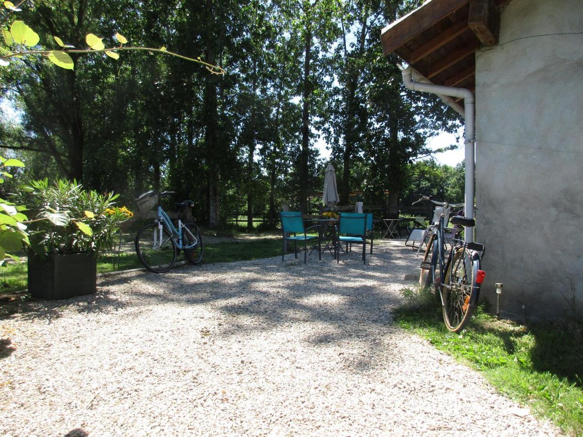 Espace Nature Studio Independant Proche Du Parc Des Oiseaux Sainte-Olive Экстерьер фото