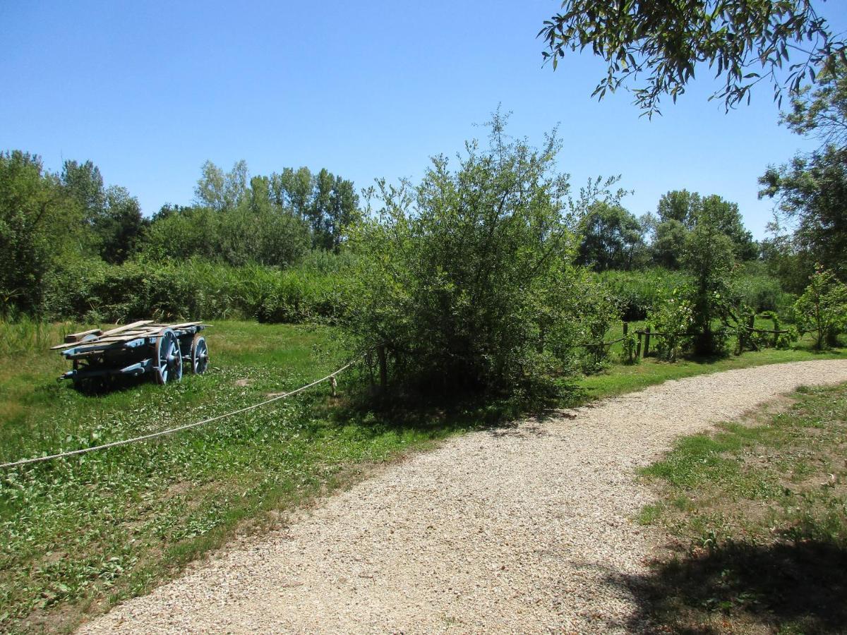 Espace Nature Studio Independant Proche Du Parc Des Oiseaux Sainte-Olive Экстерьер фото